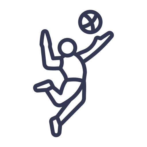 Volleyball